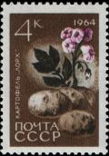 Stamp_of_the_Soviet_Union_1964_Potato_Lorh.jpg