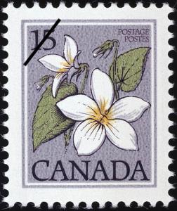 Colnect-748-352-Canada-Violet-Viola-canadensis.jpg