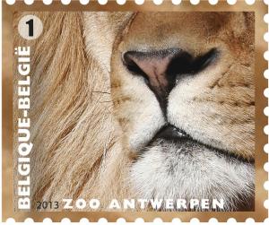 Colnect-1572-792-Lion-Panthera-leo.jpg