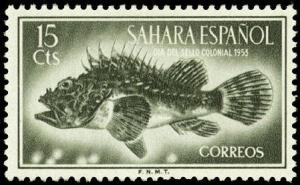 Colnect-1633-635-Red-Scorpionfish-Scorpaena-scrofa.jpg