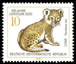 Colnect-1980-253-Lion-Panthera-leo.jpg