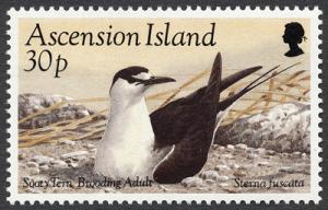 Colnect-853-308-Sooty-Tern-Onychoprion-fuscatus---breeding-Adult-Bird.jpg