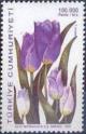 Colnect-776-044-Tulipa-armena-violet.jpg