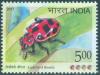 Colnect-4058-465-Ladybird-Beetles-of-India.jpg