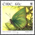 Colnect-1945-030-Green-Hairstreak-Callophrys-rubi.jpg