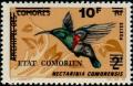 Colnect-547-293-Anjuan-Sunbird-Nectarinia-comorensis.jpg