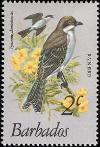 Colnect-578-216-Grey-Kingbird-Tyrannus-dominicensis.jpg