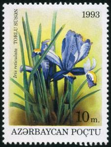 Colnect-4879-798-Iris-reticulata.jpg