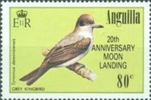 Colnect-1931-226-Gray-Kingbird-Tyrannus-dominicensis.jpg