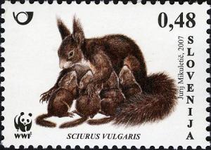 Colnect-712-529-Red-Squirrel-Sciurus-vulgaris.jpg