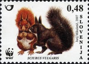 Colnect-712-530-Red-Squirrel-Sciurus-vulgaris.jpg