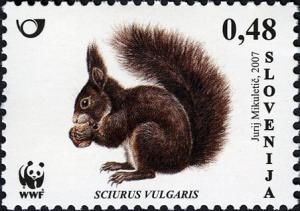 Colnect-712-531-Red-Squirrel-Sciurus-vulgaris.jpg