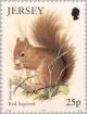 Colnect-127-818-Red-Squirrel-Sciurus-vulgaris.jpg