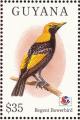 Colnect-1664-207-Regent-Bowerbird-Sericulus-chrysocephalus.jpg
