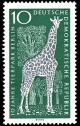 Colnect-1974-554-Angolan-Giraffe-Giraffa-camelopardalis-angolensis-.jpg