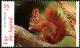Colnect-5199-400-Red-Squirrel-Sciurus-vulgaris.jpg