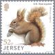 Colnect-6055-579-Red-Squirrel-Sciurus-vulgaris.jpg