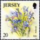 Colnect-6246-380-Iris---Iridaceae.jpg