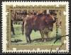 Colnect-1207-055-Bison-Bison-bison.jpg