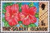Colnect-3566-335-Hibiscus-rosa-sinensis.jpg