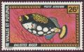 Colnect-905-638-Clown-Triggerfish-Balistoides-conspicillum.jpg