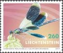 Colnect-5639-639-Banded-Demoiselle-Calopteryx-splendens.jpg