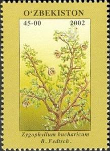 Stamps_of_Uzbekistan%2C_2002-01.jpg