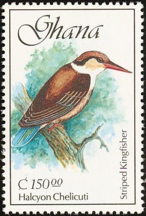 Colnect-1459-764-Striped-Kingfisher-nbsp-Halcyon-chelicuti-.jpg