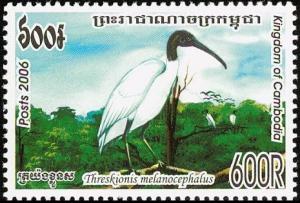 Colnect-1525-630-Black-headed-Ibis-Threskiornis-melanocephalus.jpg
