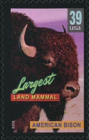 Colnect-202-557-American-Bison-Bison-bison-largest-Land-Mammal.jpg