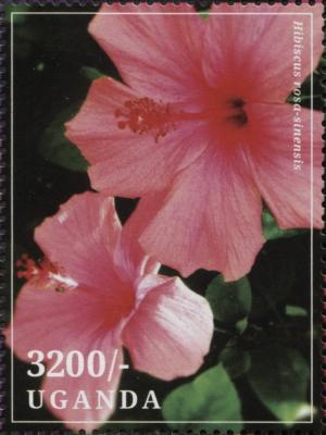 Colnect-3518-171-Hibiscus-rosa-sinensis.jpg