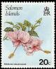 Colnect-2204-205-Hibiscus-rosasinensis.jpg