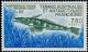 Colnect-886-902-Mackarel-Icefish-Champrocephalus-gunnari.jpg