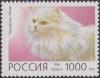Colnect-1830-114-Persian-White-Felis-silvetris-catus.jpg
