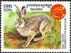 Colnect-2715-841-Rabbit-Family-Leporidae.jpg
