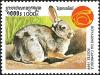Colnect-2715-843-Rabbit-Family-Leporidae.jpg