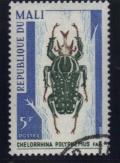 Colnect-1003-110-Giant-African-Fruit-Beetle-Chelorrhina-polyphemus.jpg