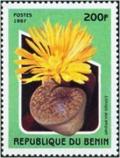 Colnect-2091-976-Lithops-aucampiae.jpg