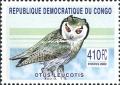 Colnect-2624-462-Northern-White-faced-Owl-Otus-leucotis.jpg