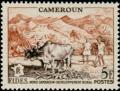 Colnect-786-147-Plowing-the-Field-with-Cattle-Bos-primigenius-indicus.jpg