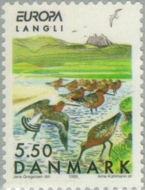 Colnect-157-533-Black-tailed-Godwit-Limosa-limosa---Langli-Island.jpg
