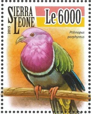 Colnect-3566-019-Pink-headed-Fruit-Dove---Ptilinopus-porphyreus.jpg