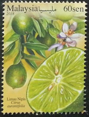 Colnect-4908-837-Citrus-Fruits-of-Malaysia--Key-Lime.jpg