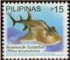 Colnect-1832-628-Bowmouth-Guitarfish-Rhina-ancylostoma.jpg