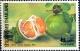 Colnect-2215-334-Fruits--Citrus-maxima.jpg