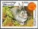 Colnect-2715-842-Rabbit-Family-Leporidae.jpg