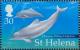 Colnect-4718-414-Chinese-white-dolphin-Sousa-sinensis.jpg