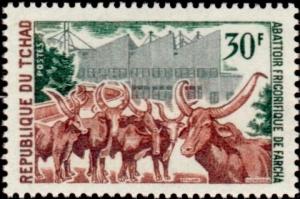 Colnect-2431-145-Cattle-Bos-primigenius-indicus-at-Farcha-Slaughterhose.jpg