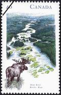 Colnect-1038-386-Main-River-Moose-Alces-alces.jpg