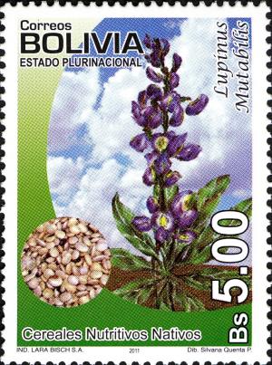 Colnect-3942-903-Nutritional-Native-Cereals---Lupinus-mutabilis.jpg